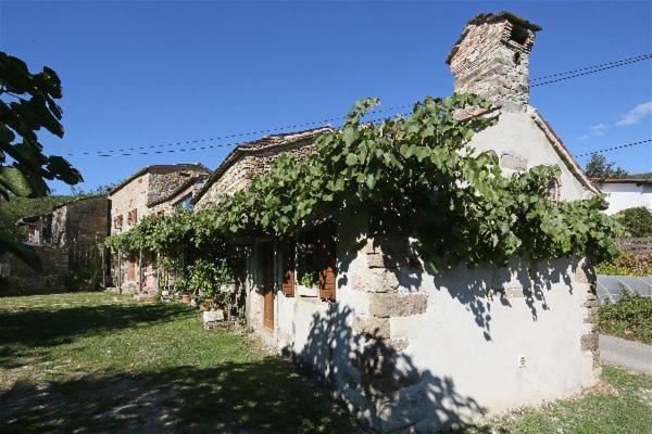 Istrian Experience Villa Socerga Dış mekan fotoğraf